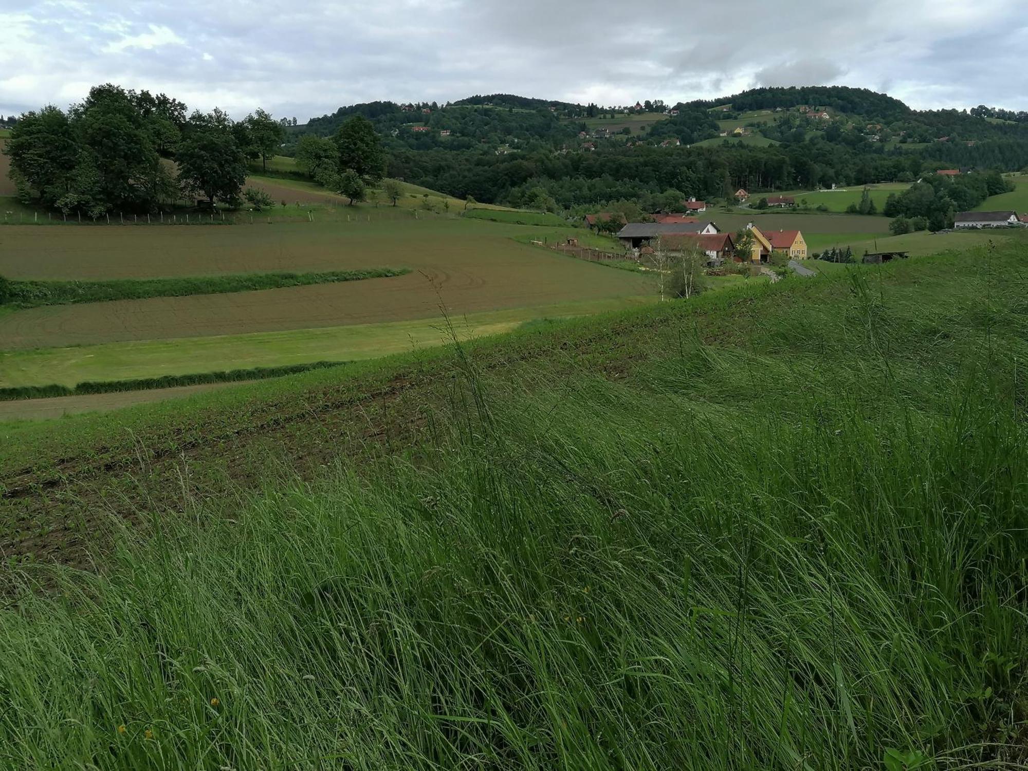 Neudorf im SausalAm Jaukhof Familie Stiendl别墅 外观 照片