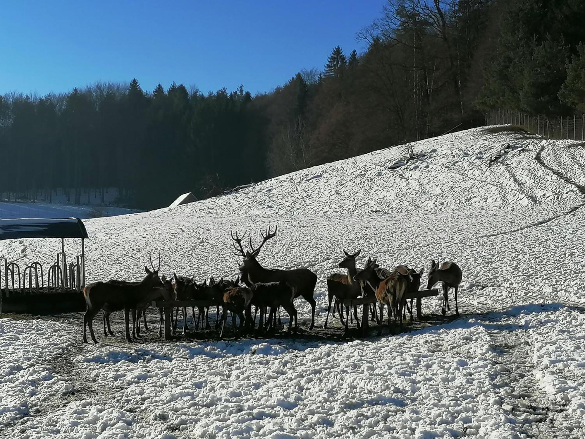 Neudorf im SausalAm Jaukhof Familie Stiendl别墅 外观 照片